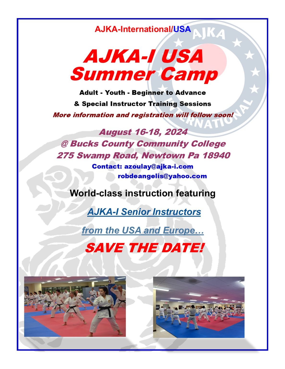 Image for Save the date for 2024 summer Karate camp